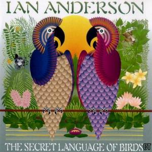 secret language of birds